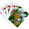Mazo de cartas | Dina Kawer